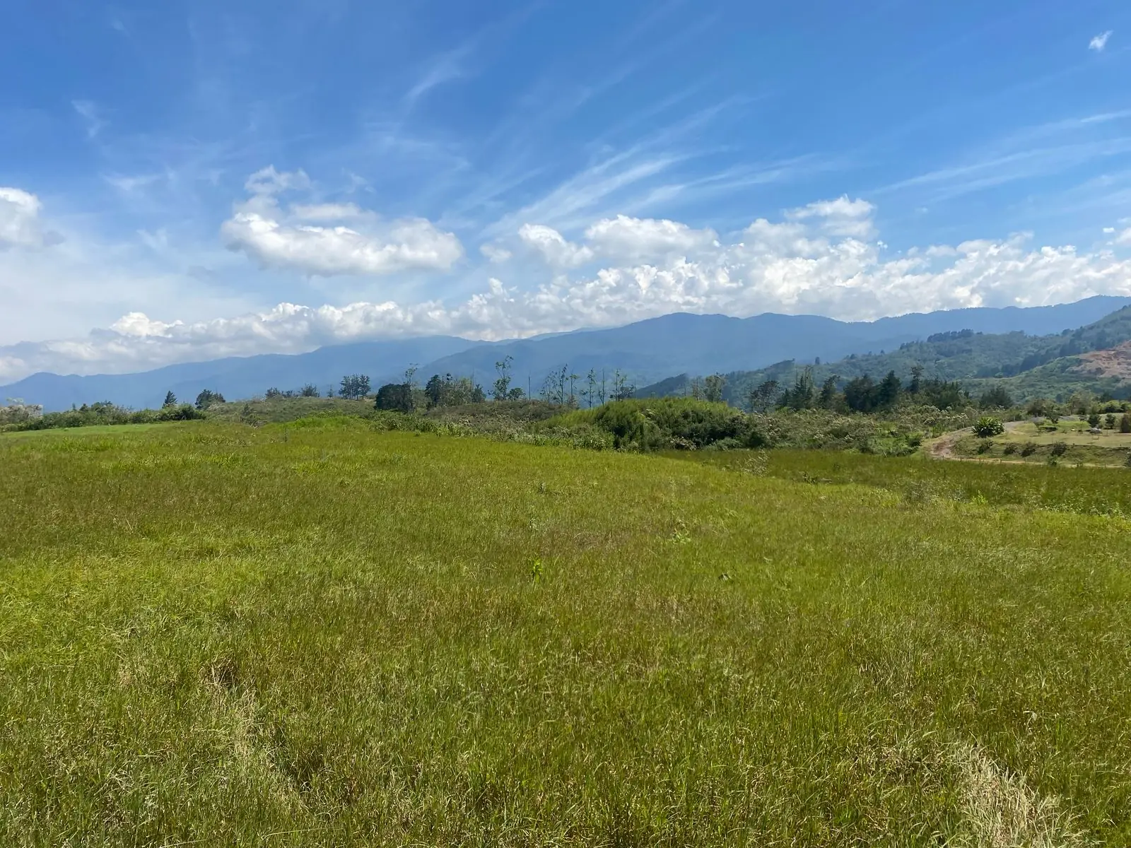 Finca Cármenes vista 1